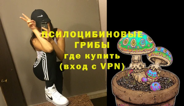 apvp Осташков