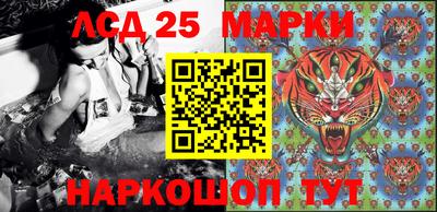 дживик Донской