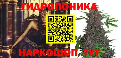 мяу мяу мука Дубна