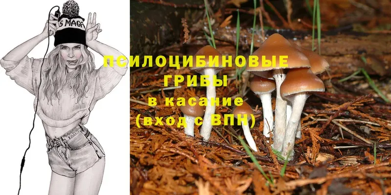 Галлюциногенные грибы Cubensis  ссылка на мегу сайт  Ипатово 