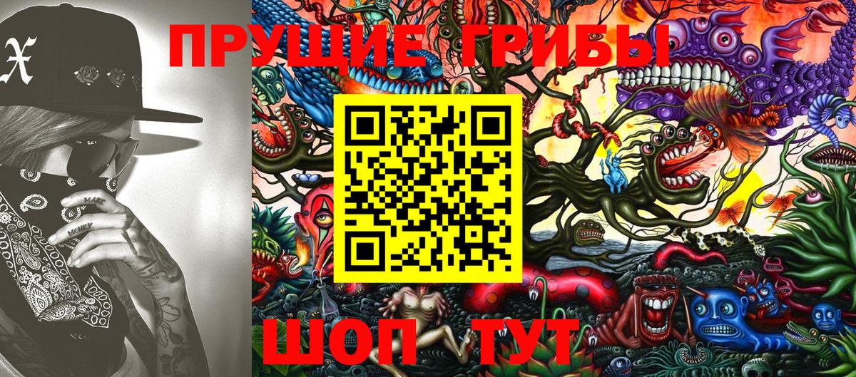 Псилоцибиновые грибы Psilocybe Ипатово