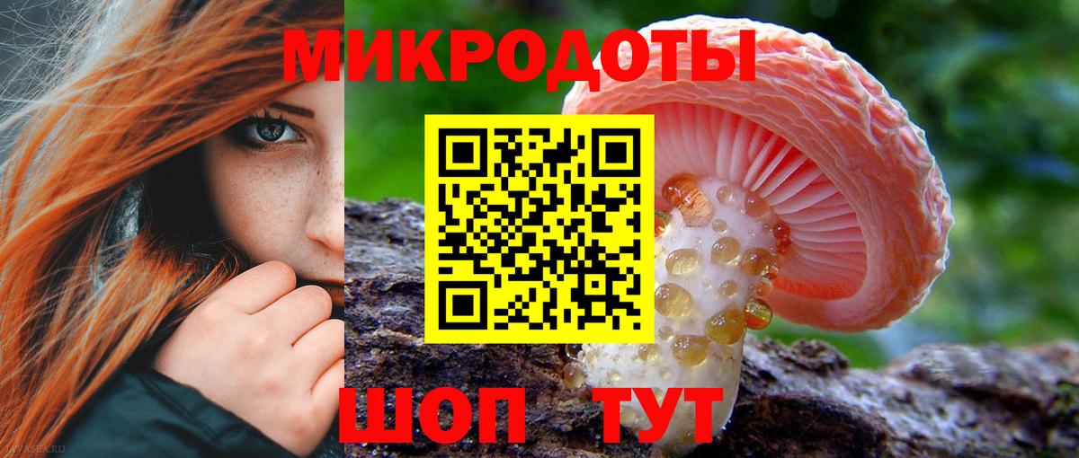 Ипатово  Галлюциногенные грибы Psilocybe  Вход с VPN 