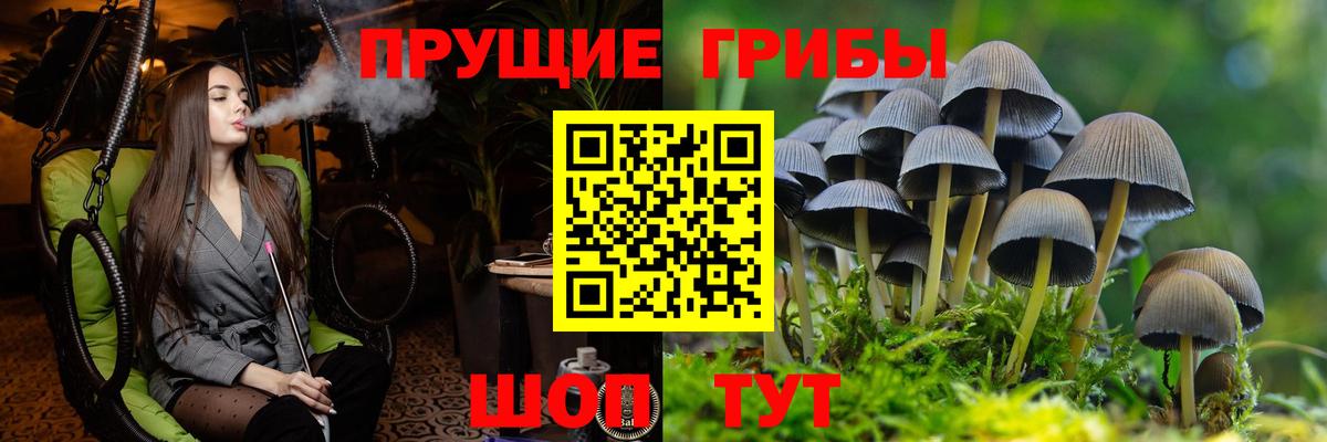 Псилоцибиновые грибы GOLDEN TEACHER  Ипатово  Псилоцибиновые грибы MAGIC MUSHROOMS 